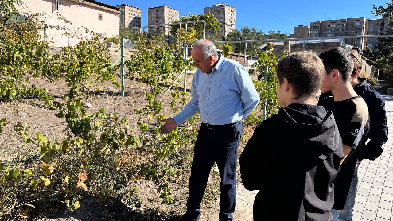 Հողի անալիզը որպես գինեգործության կարևոր փուլ
