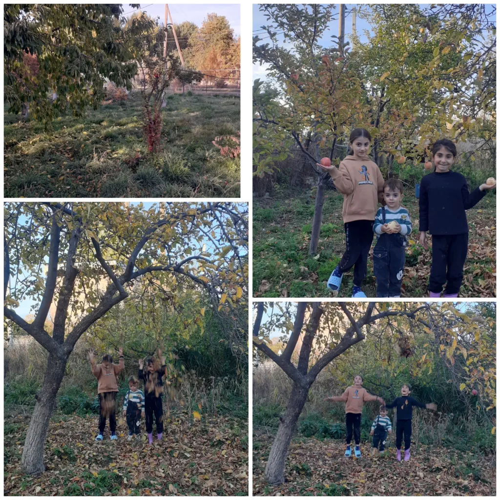 «Ուսումնական աշուն» նախագծի ամփոփում