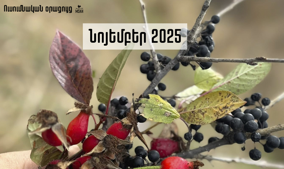 Նոյեմբերի 2025