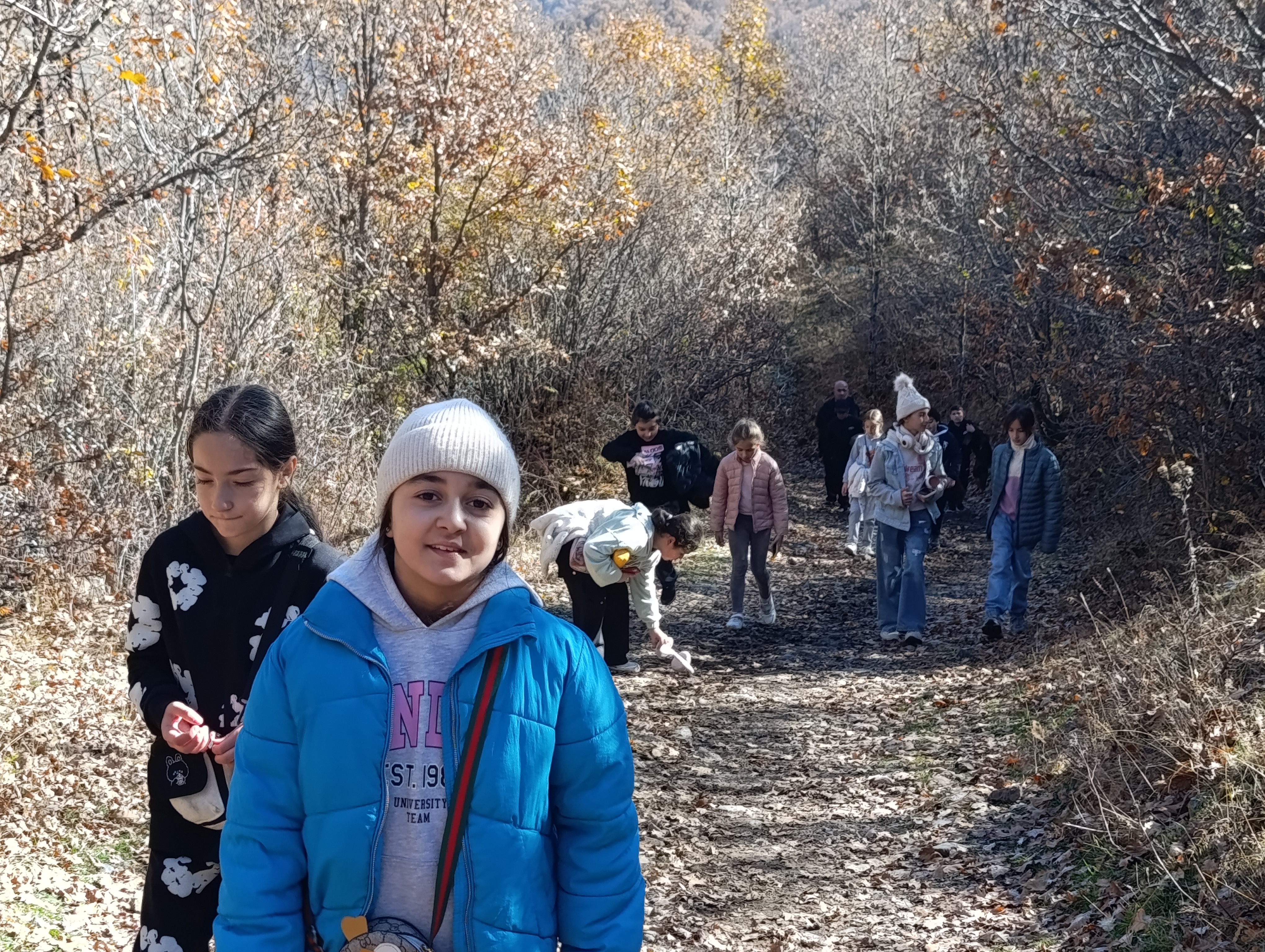 Մեղրաձորի ջրվեժ (Չռիկ)