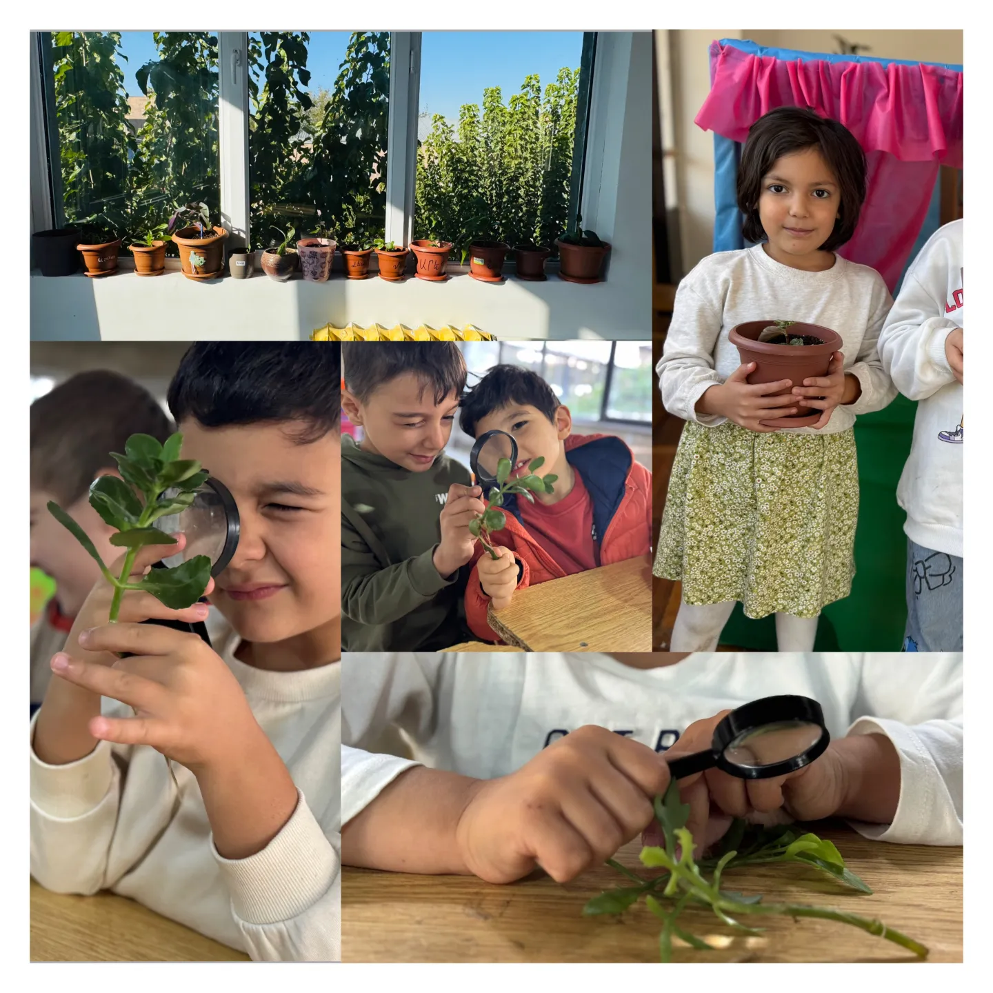 Անհատական թաղարի ստեղծում