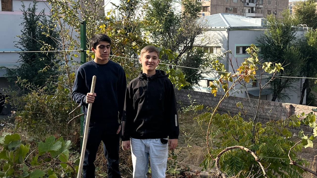 Վազերի աշնանային խնամք, տեղափոխում