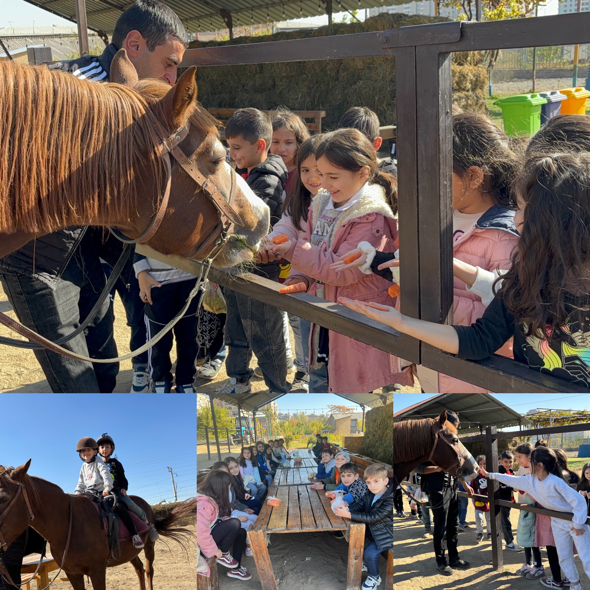 Ուսումնական Ագարակում 