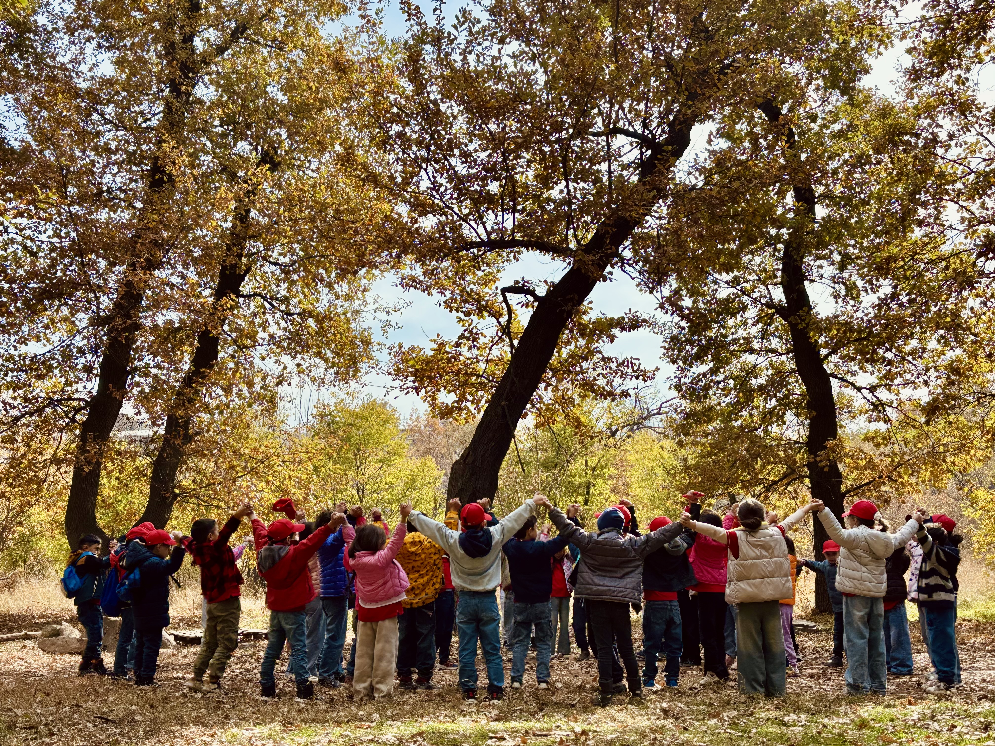 Աշնանային թափառումներ