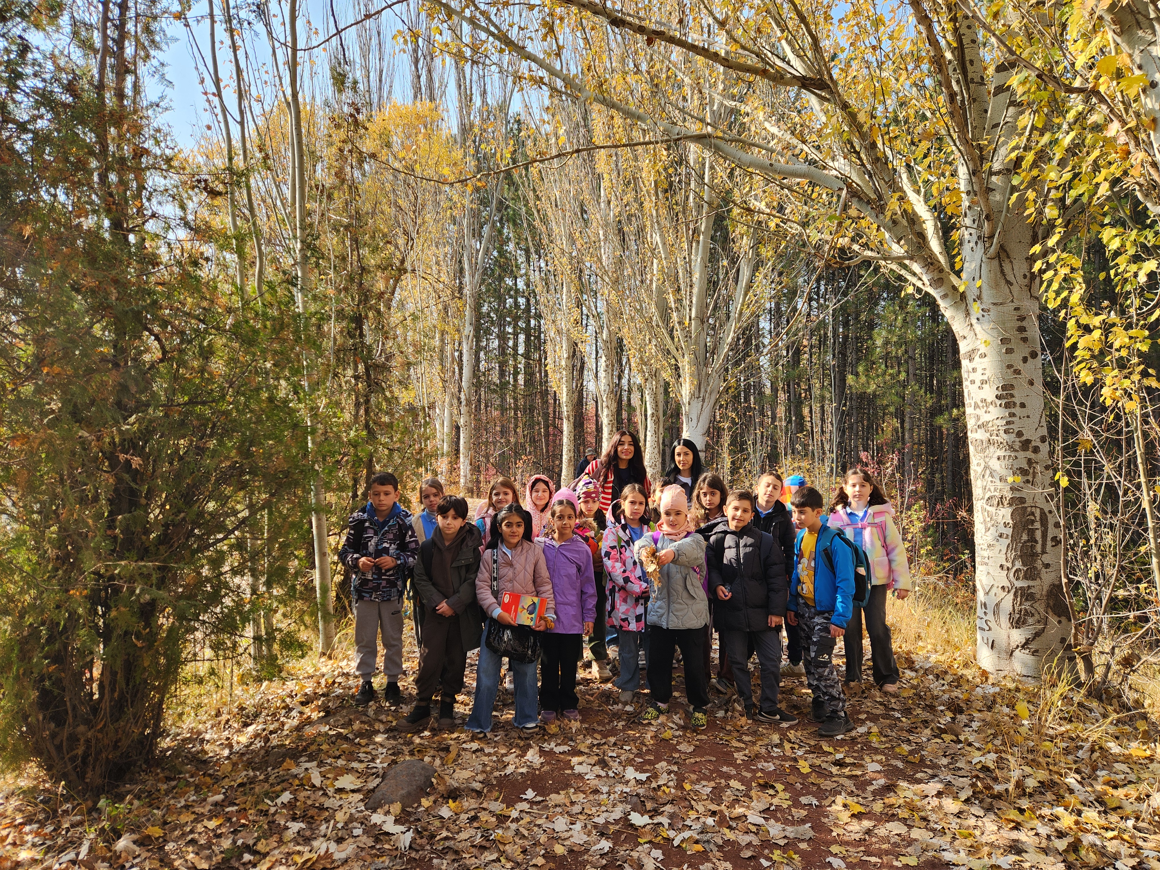 Ջրվեժի անտառապարկում