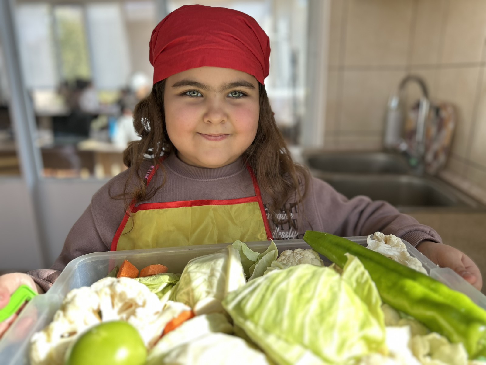 Թթուդրիկ Արևմտյան դպրոցում