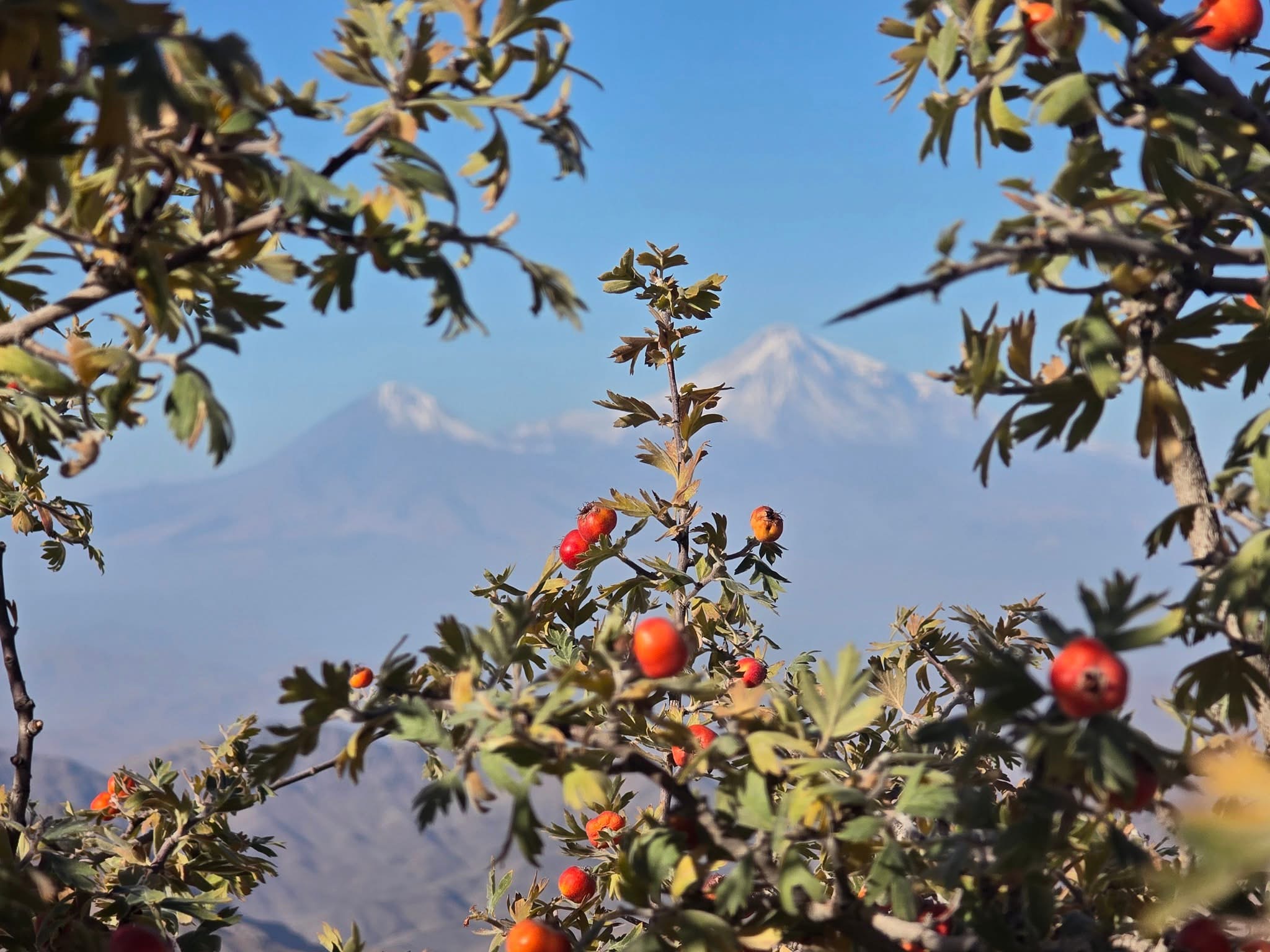 Նոյեմբերի 10