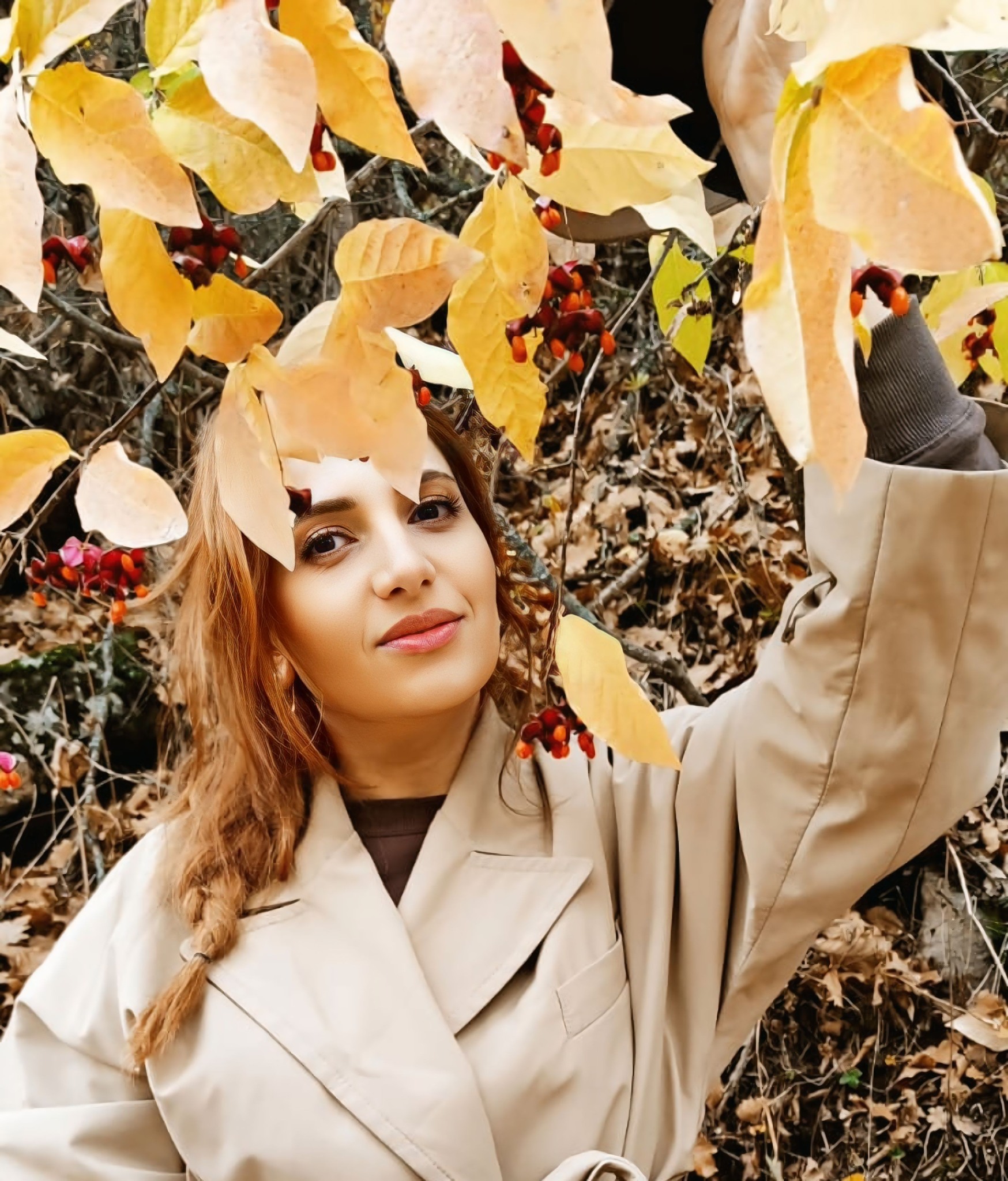 Շնորհավորանք