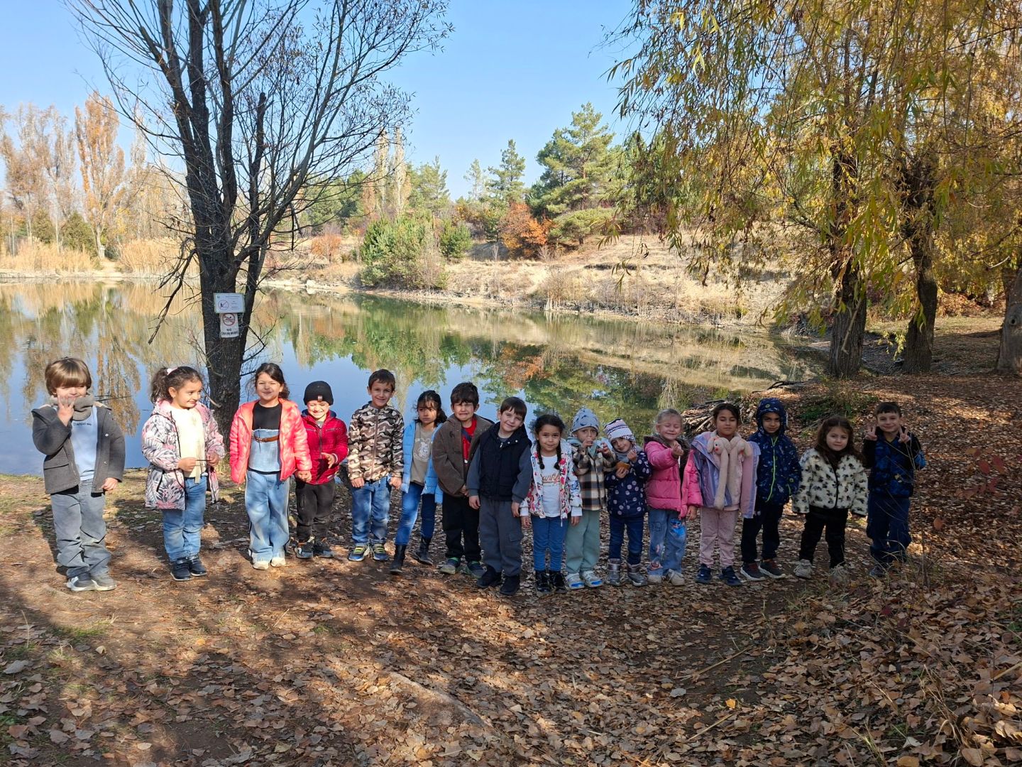 Ջրվեժի անտառապարկում 