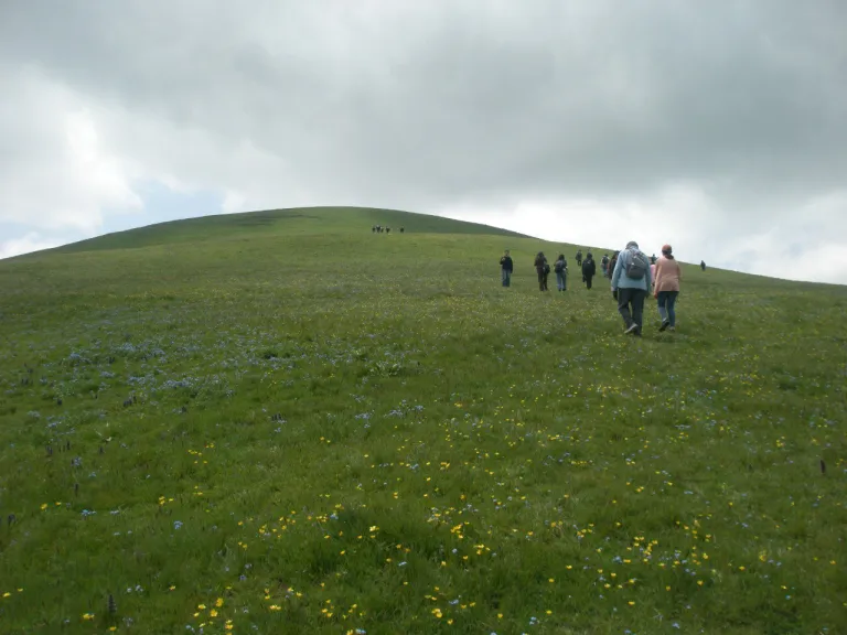 Ճամփորդ սեբաստացի