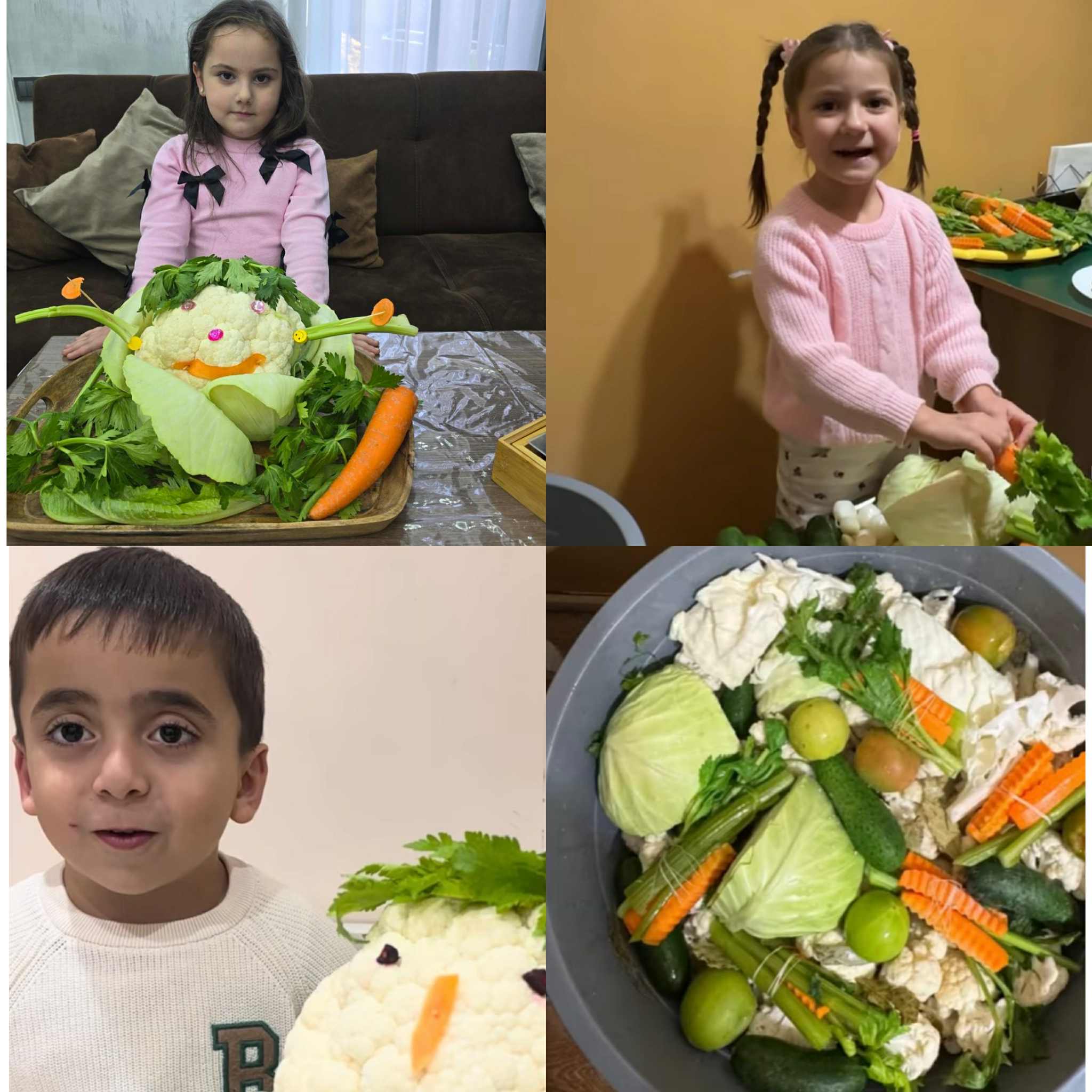 Թթուդրիկն ընտանիքում