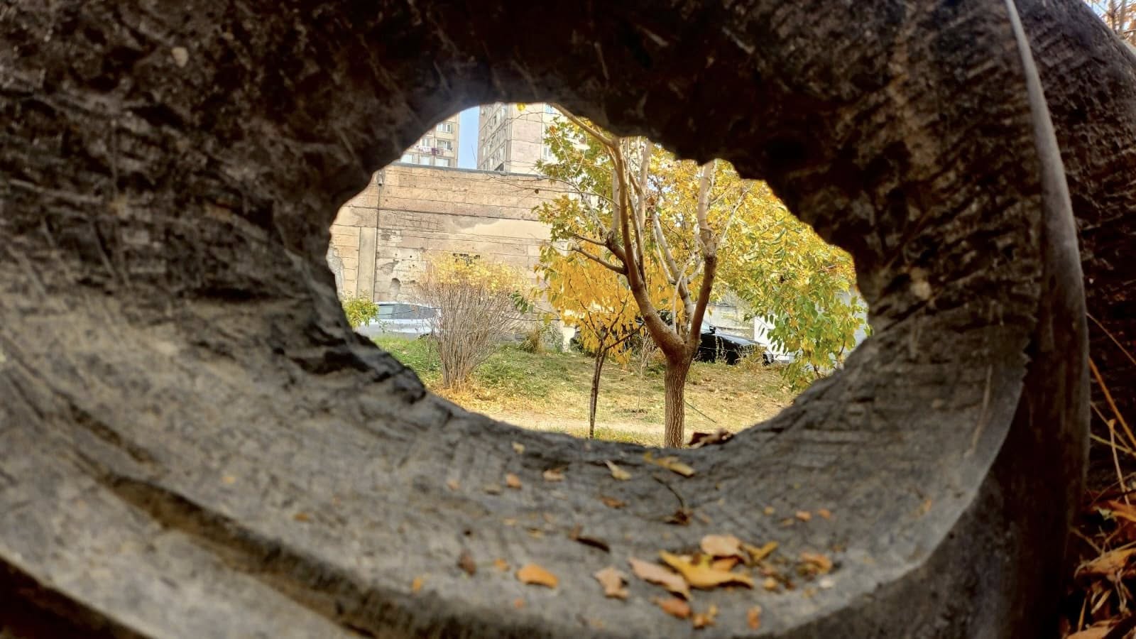 Մայրենիի նոյեմբերյան ֆլեշմոբ