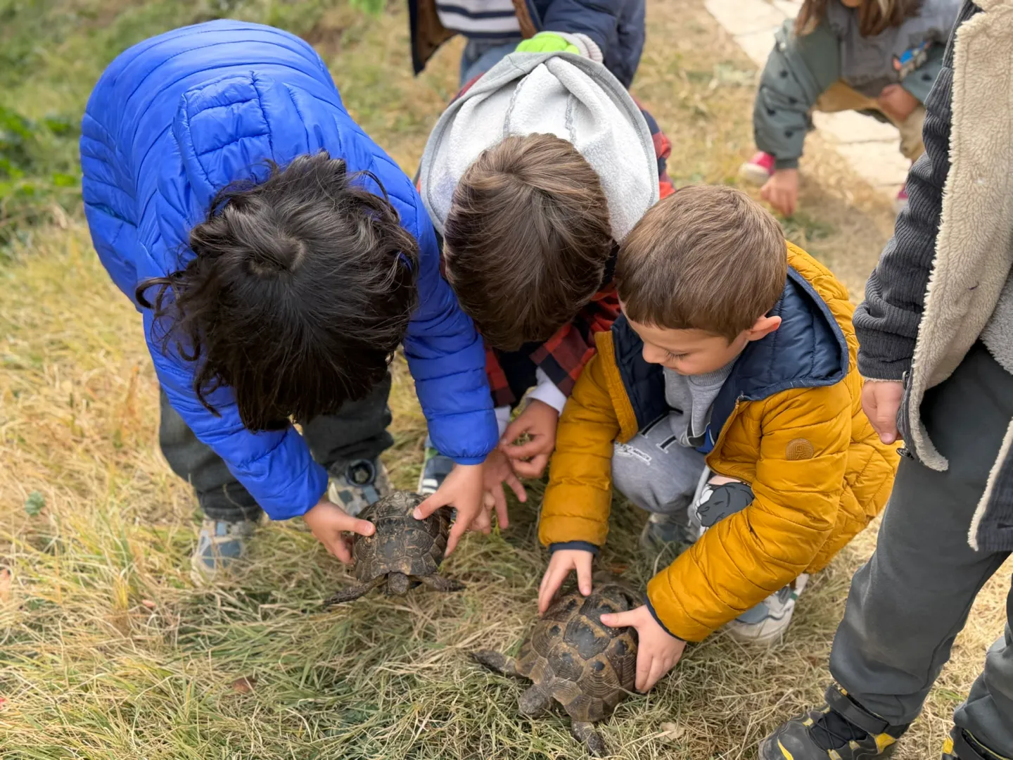 Սերմնահավաք