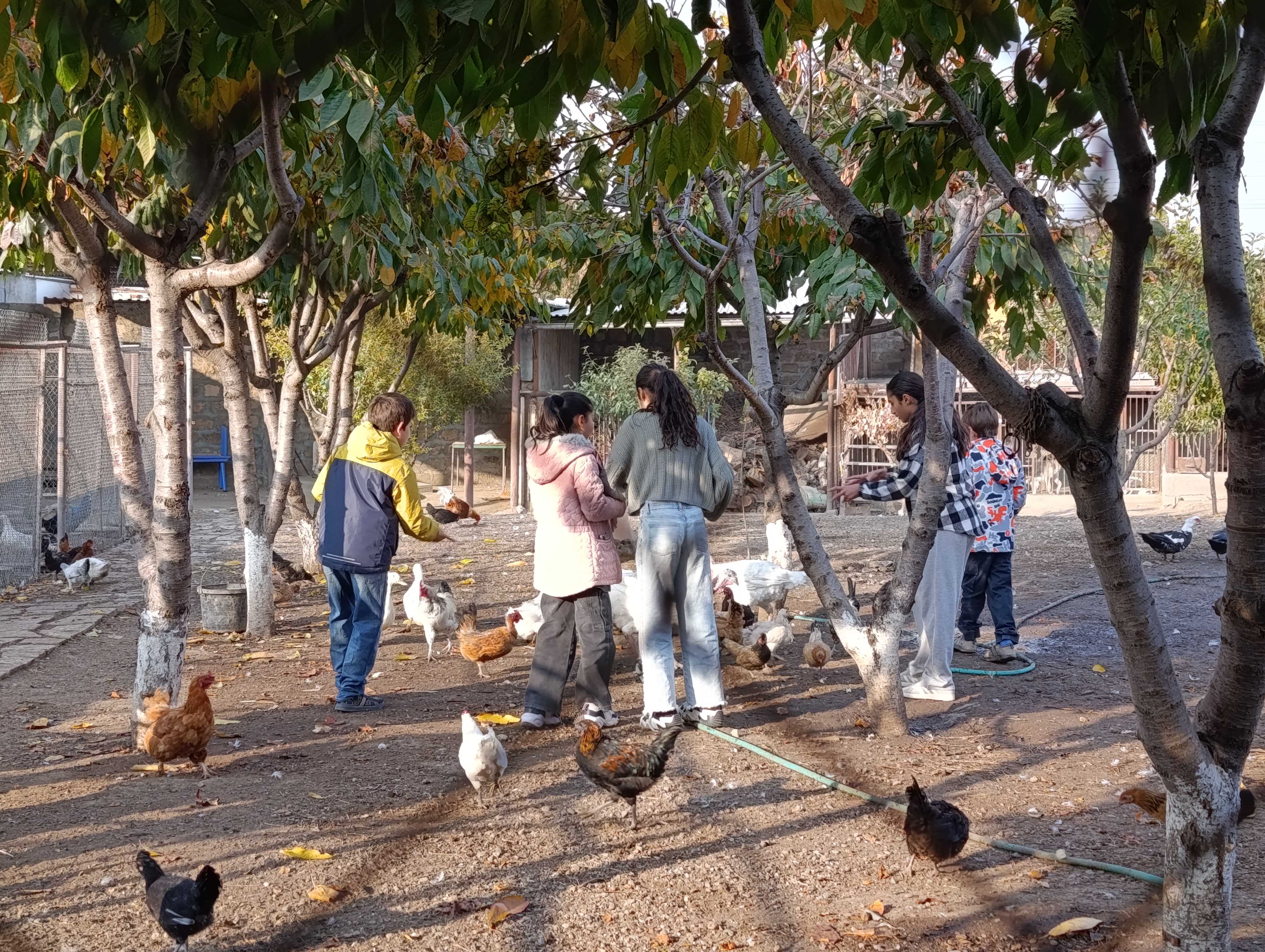 Ուսումնական ագարակում