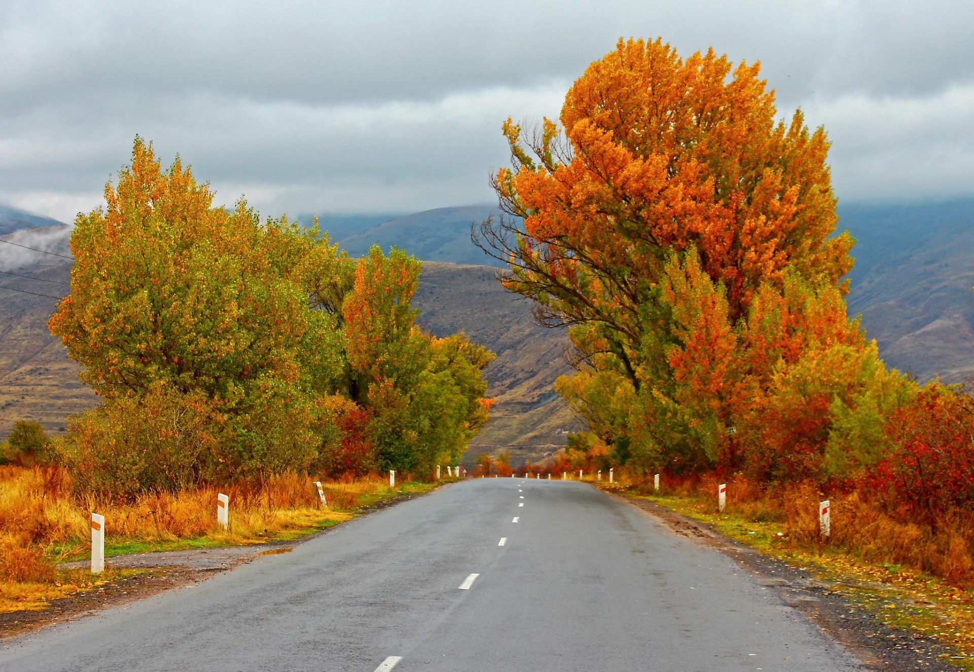 Բնագիտության ֆլեշմոբ