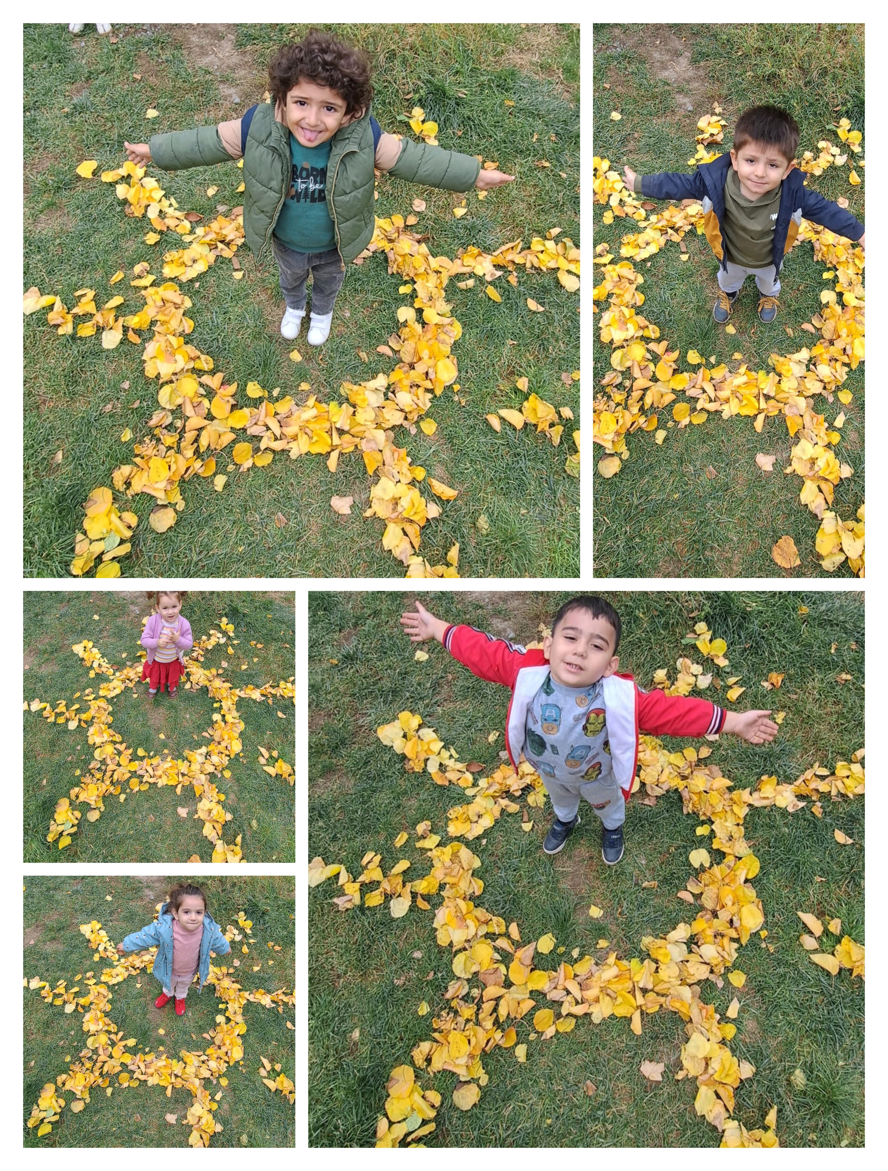 Աշնան գույները