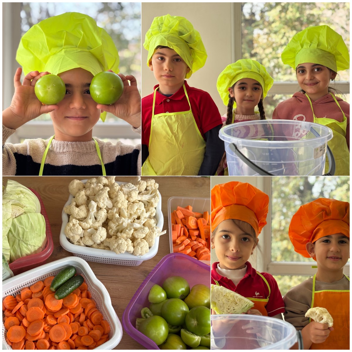 Թթուդրիկի ծես: Ամփոփում