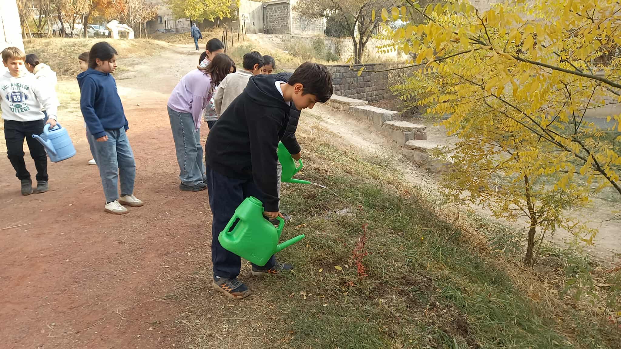 Նոր տնկիների խնամք