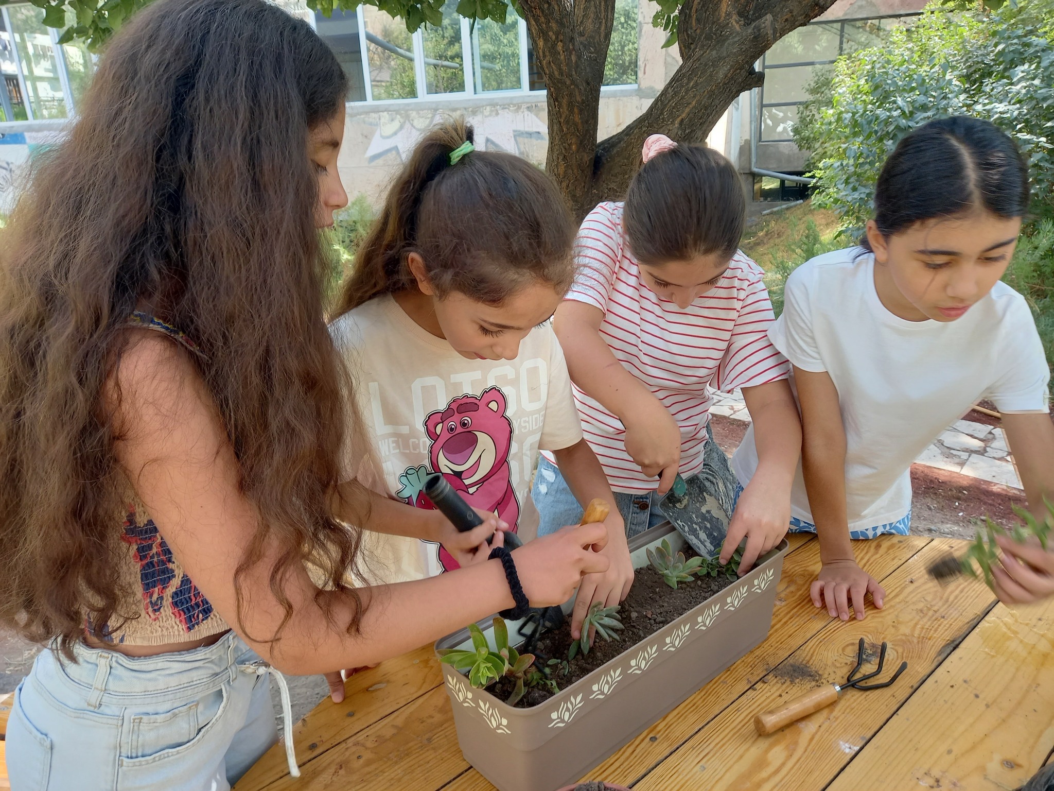 «Կանաչ օր» նախագծերի եռամսյակային ամփոփում