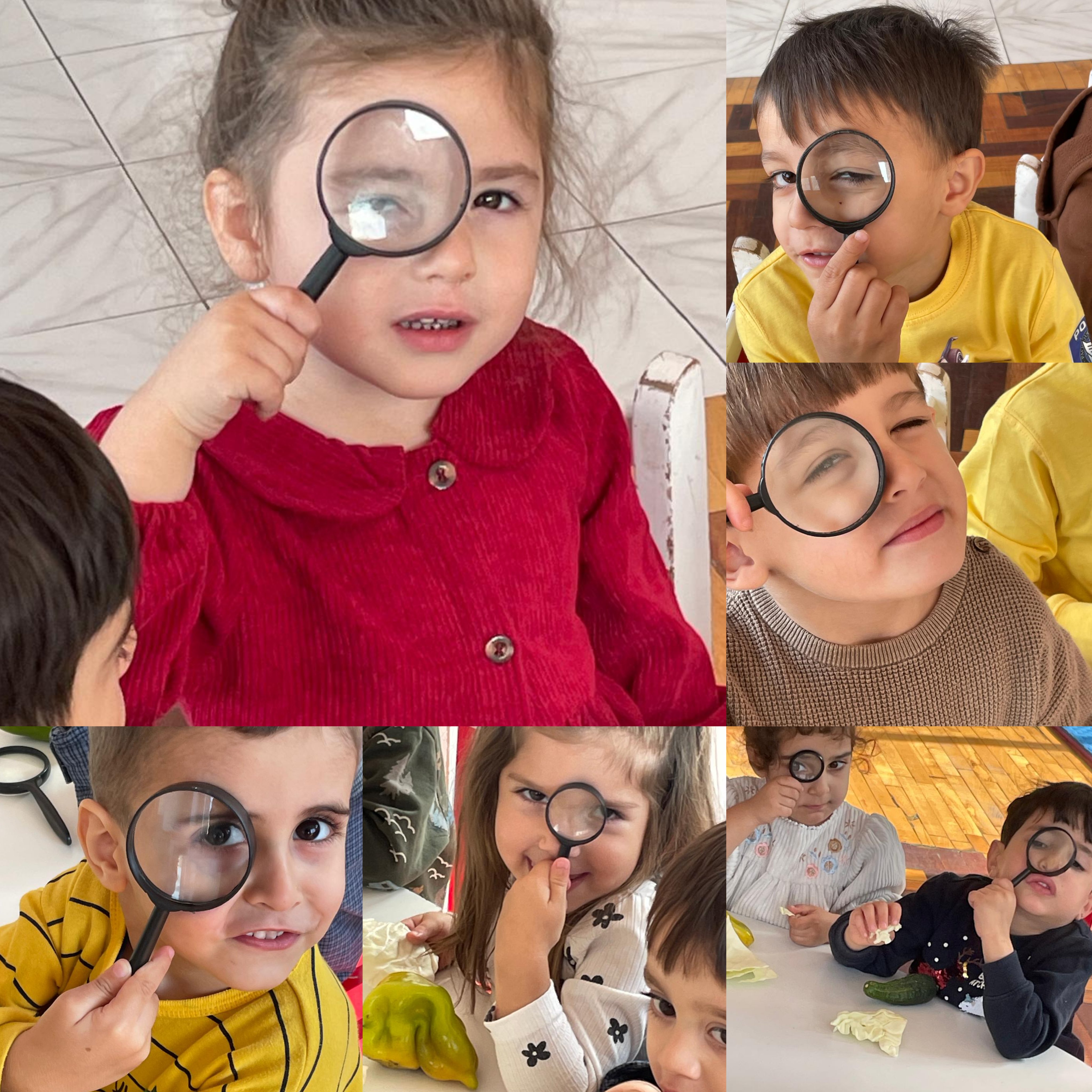 Ուսումնասիրում ենք բանջարեղենները