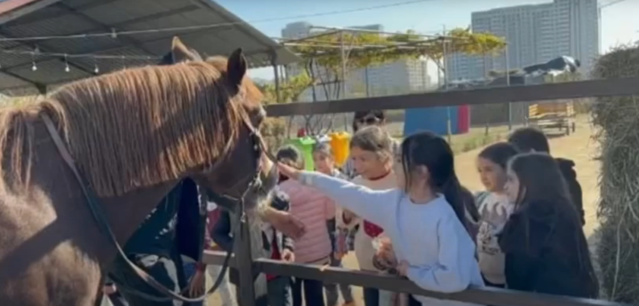 Изюминка Западной школы — учебная ферма или Агарак