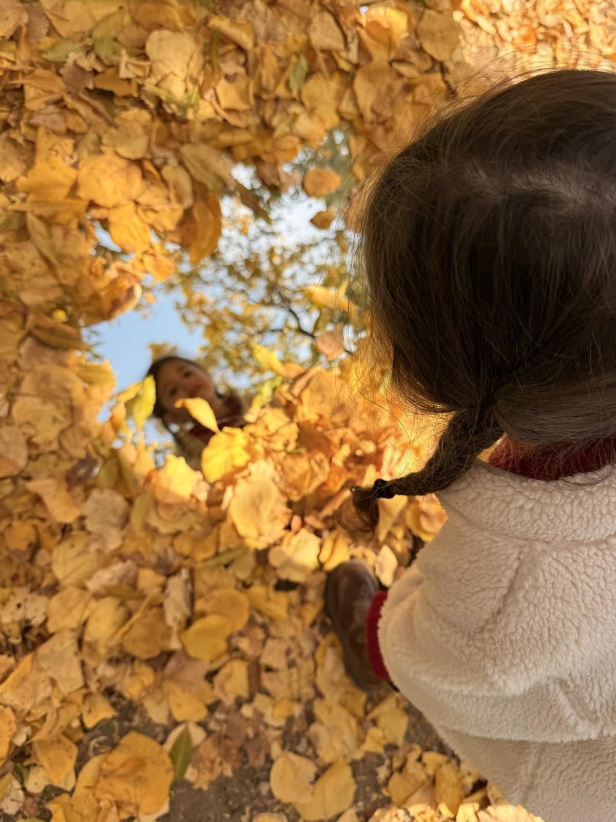 Աշնանային հեքիաթը մեր քոլեջում
