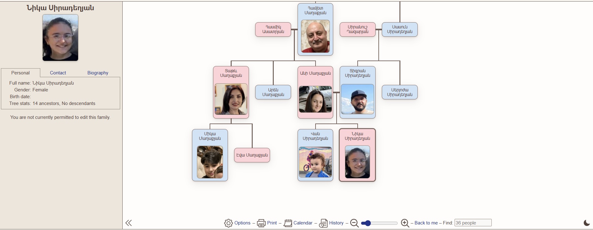 Օնլայն տոհմածառեր․ Նիկա Սիրադեղյան