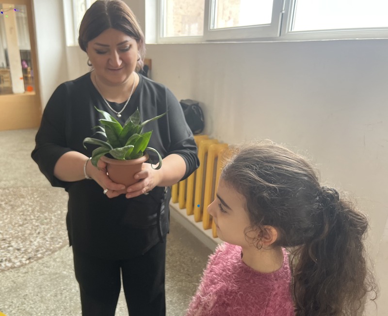 Համագործակցային նախագծի ամփոփում