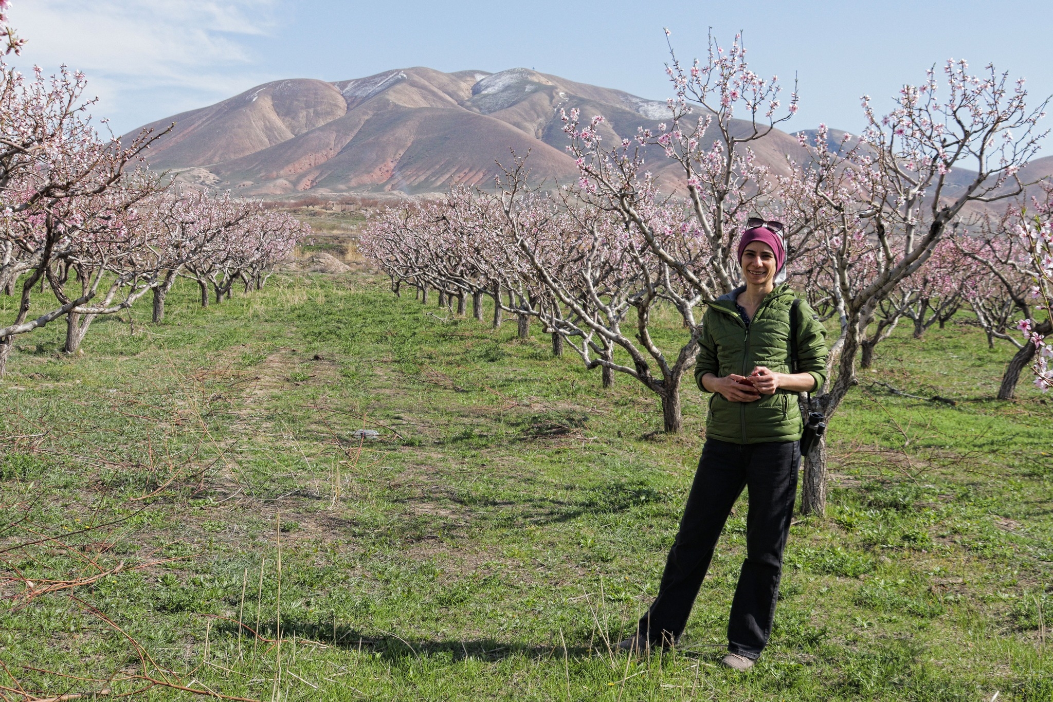 Շնորհավորանք
