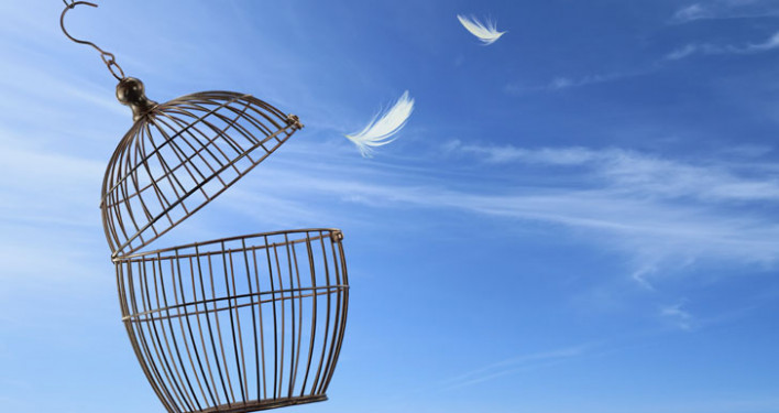 Ազատությունը միֆ է