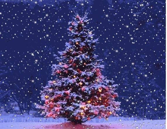 Կաղանդի գիշեր․ Զահրատ