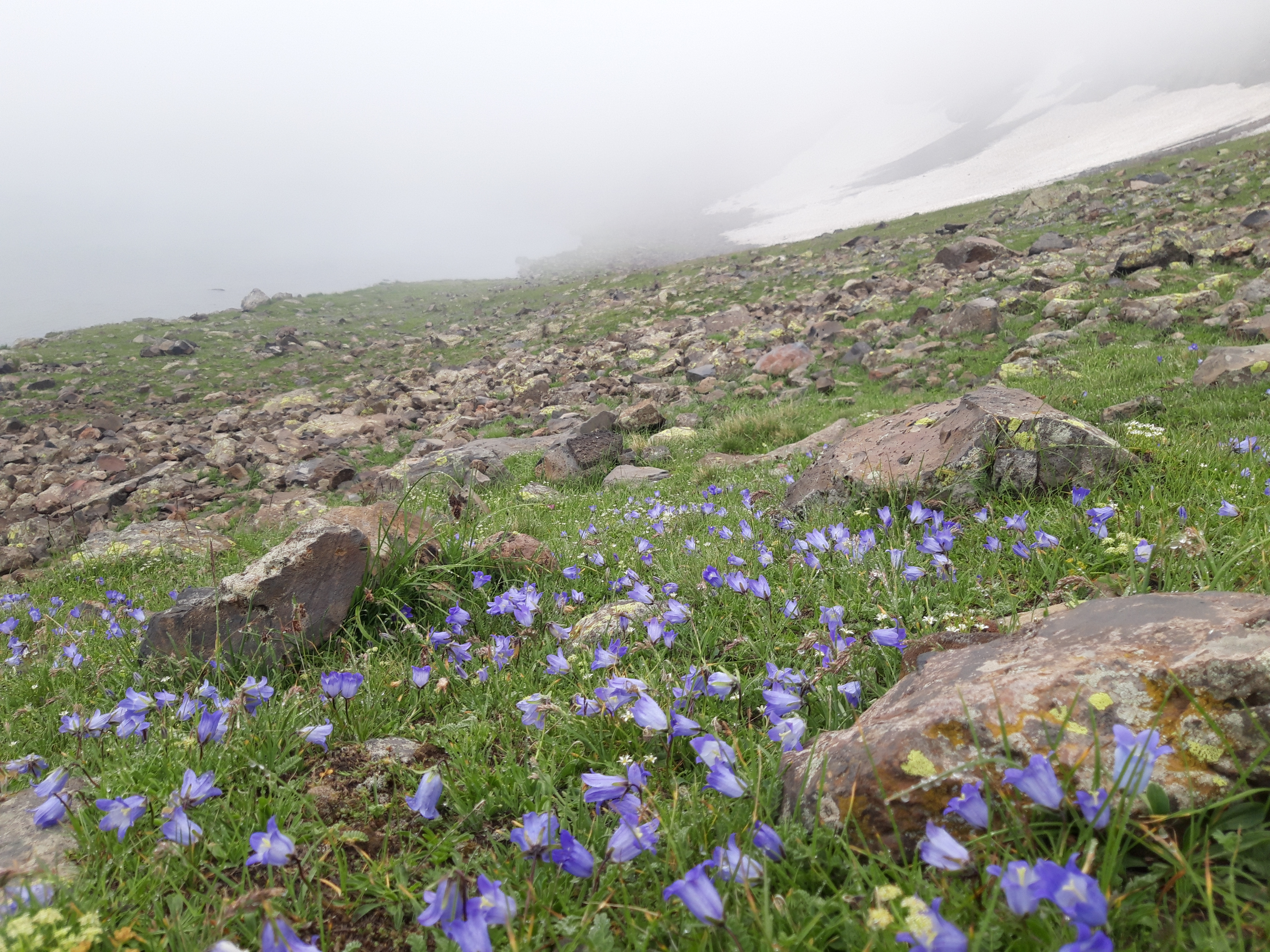Տարին ամփոփում են հեռավար սովորողները