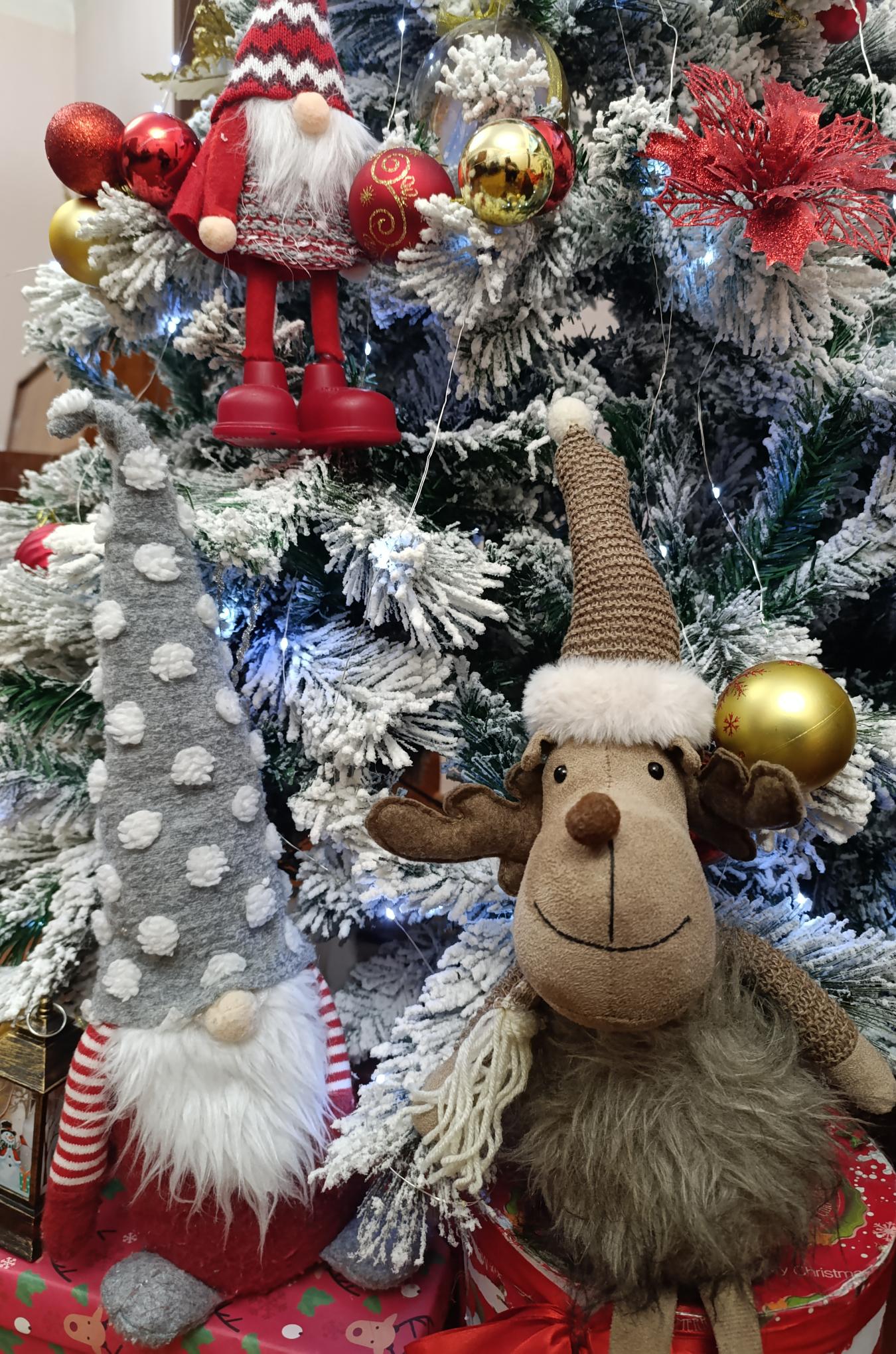 Ամանորն ընտանիքում