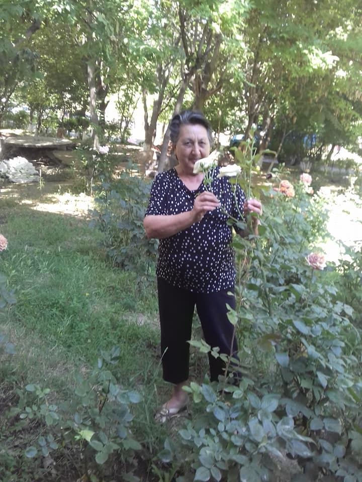 Շնորհավորանք