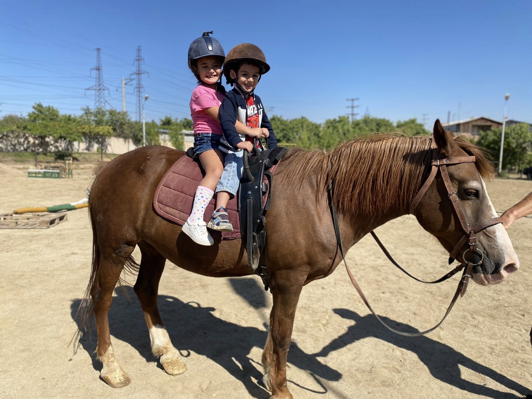 Երկարացված օրվա ծրագրի կազմակերպիչներ