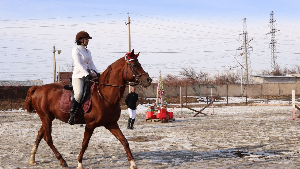 Report Presentation of the Equestrian Club at the Educational Farm