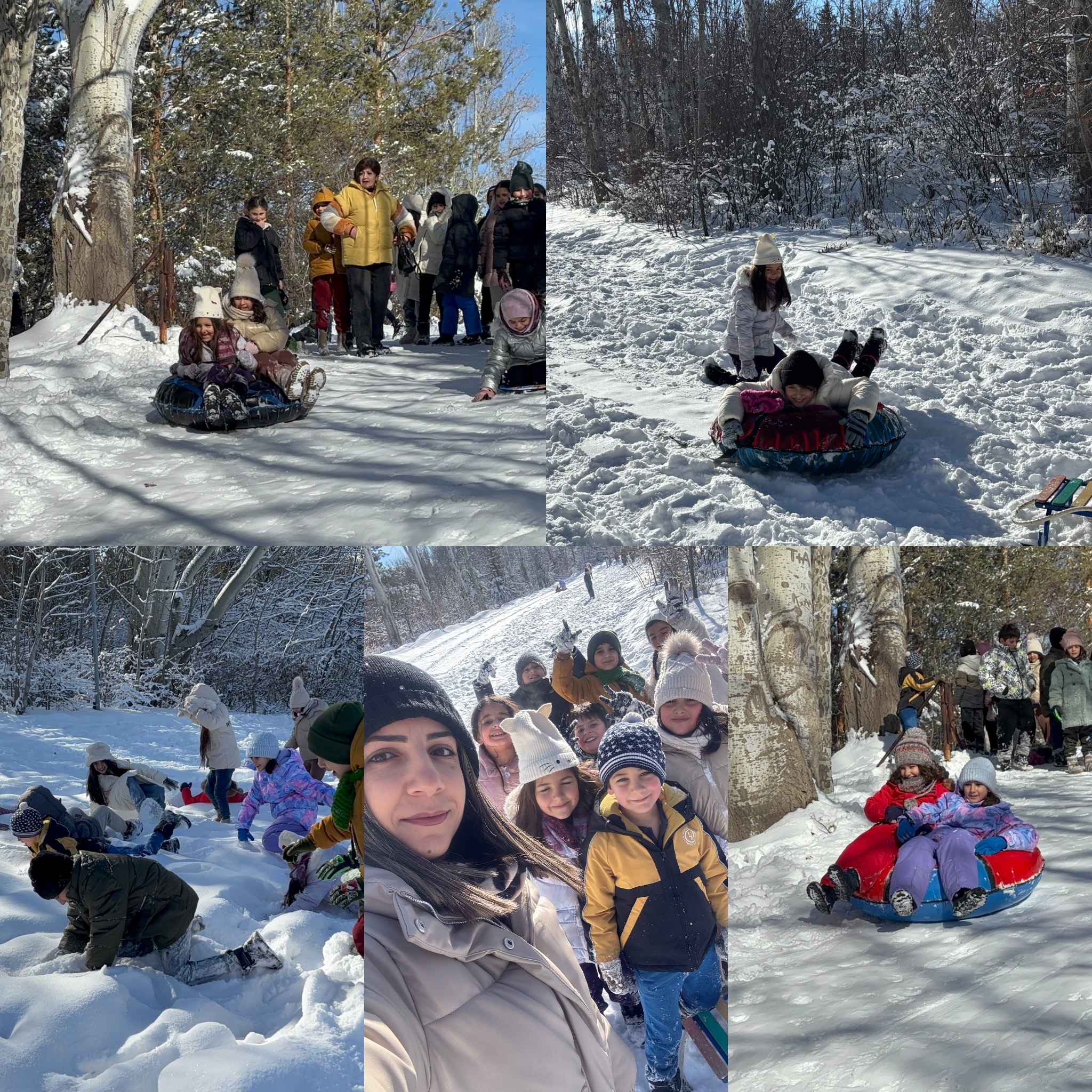 Ջրվեժ Անտառապարկի ճերմակ բնության մեջ