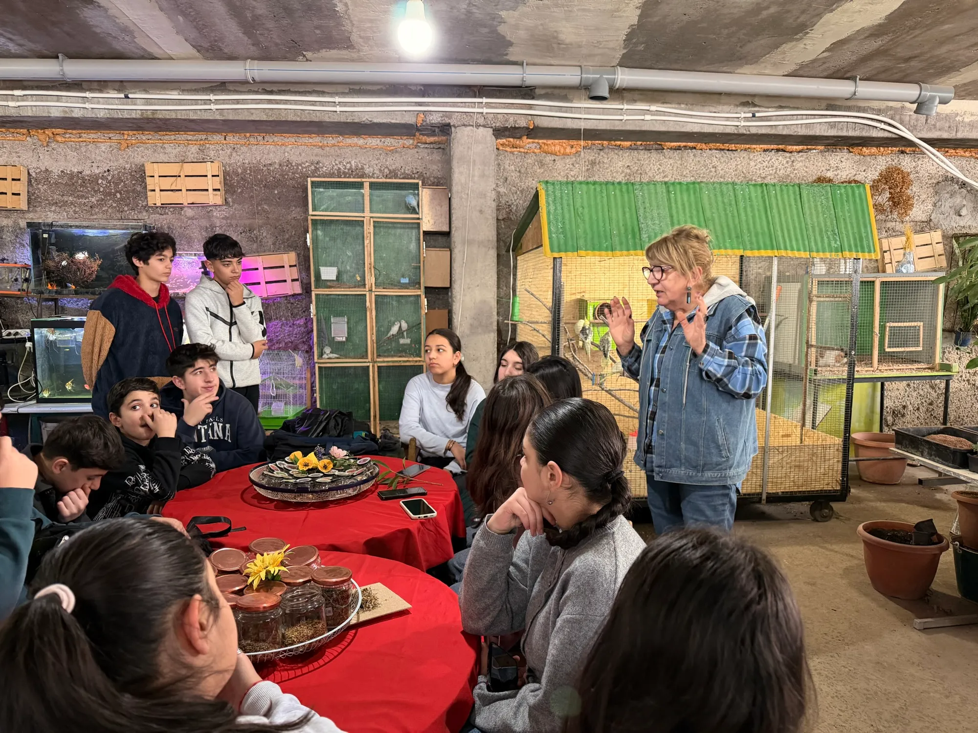 Уход за растениями