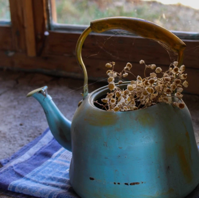 Ազգագրական փառատոնի երկրորդ շաբաթը Հյուսիսում