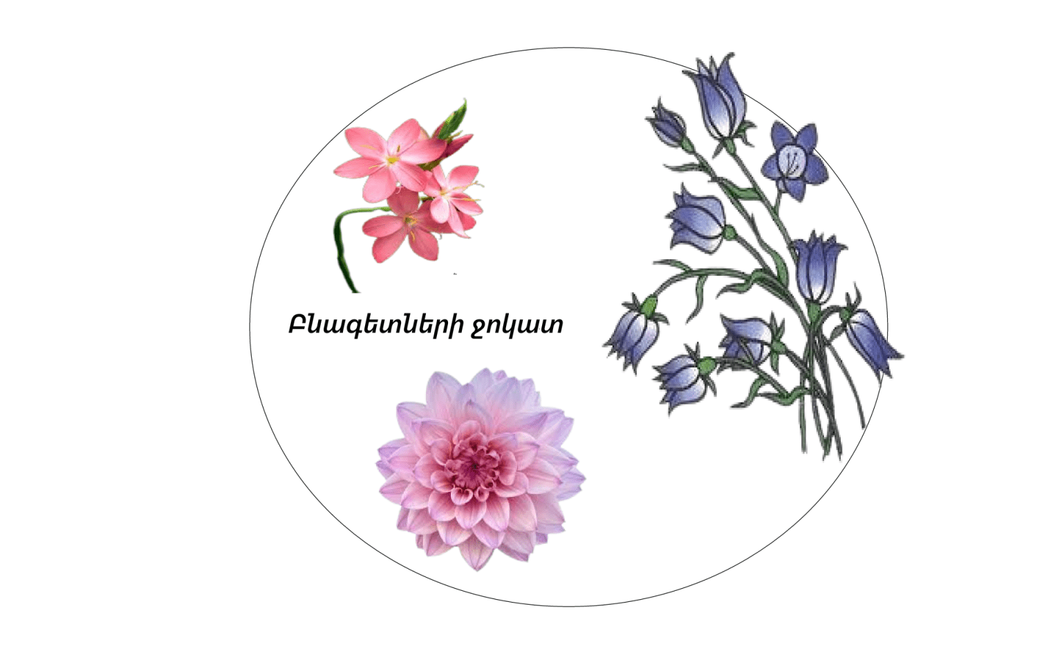 Ճամբարային երկրորդ շաբաթվա ամփոփում