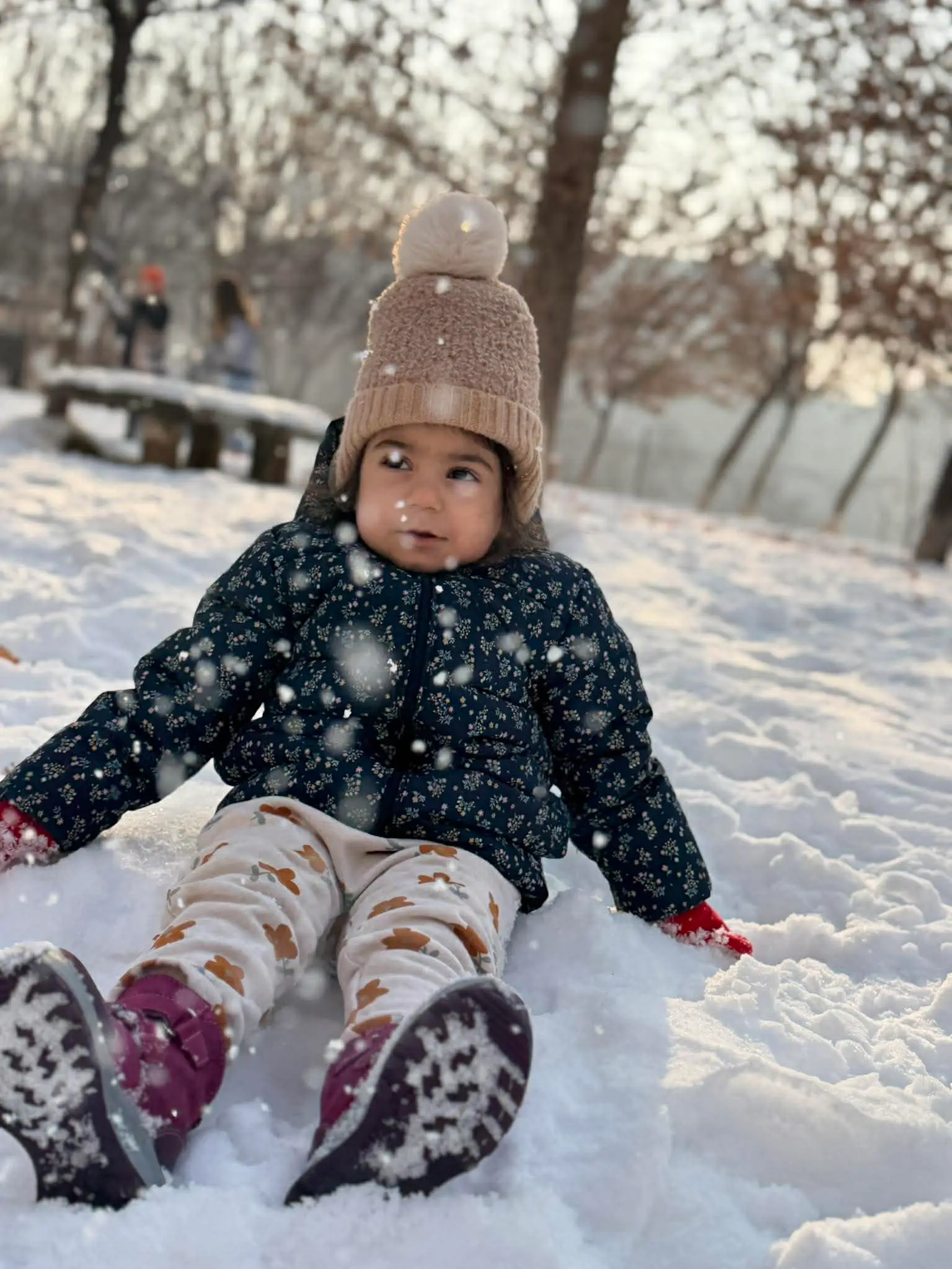 Հունվարյան ստուգատեսների 1-ին փուլի ամփոփում