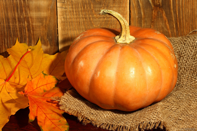 Դդմի պատմությունից