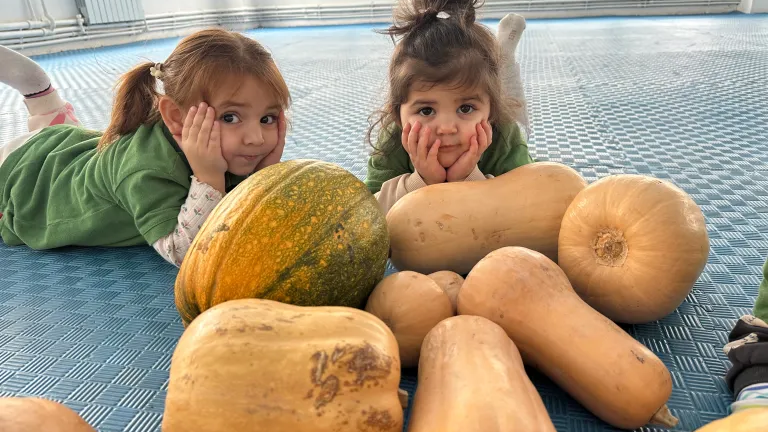 «Մարմնամարզական ստուգատես»-ը 2-4 տարեկանների խմբում․ ամփոփում