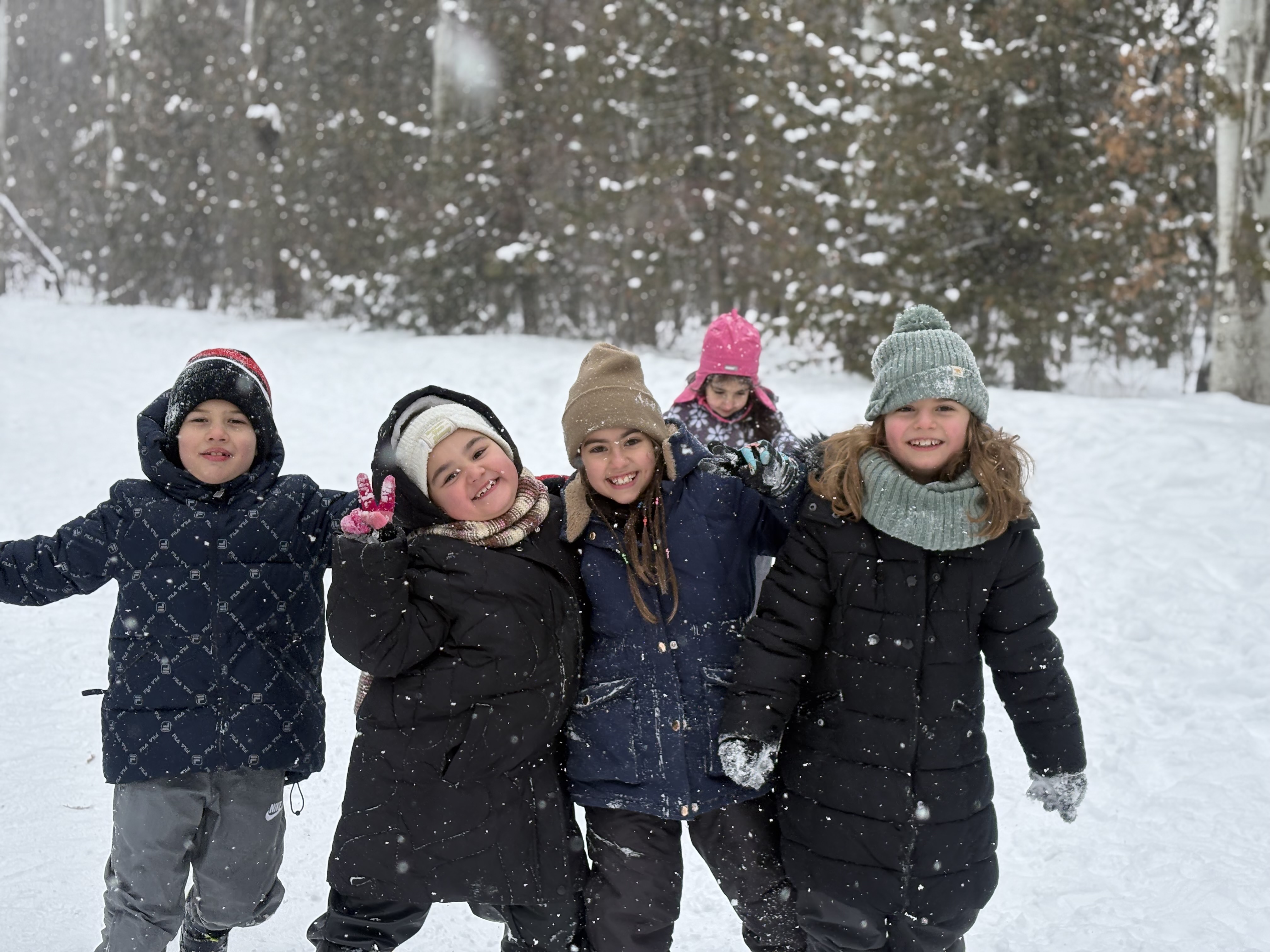 Ձմեռային խաղերը Ջրվեժի անտառապարկում