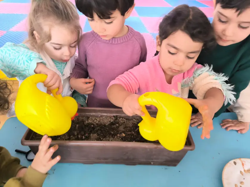 Ուսումնասիրում ենք դդումը