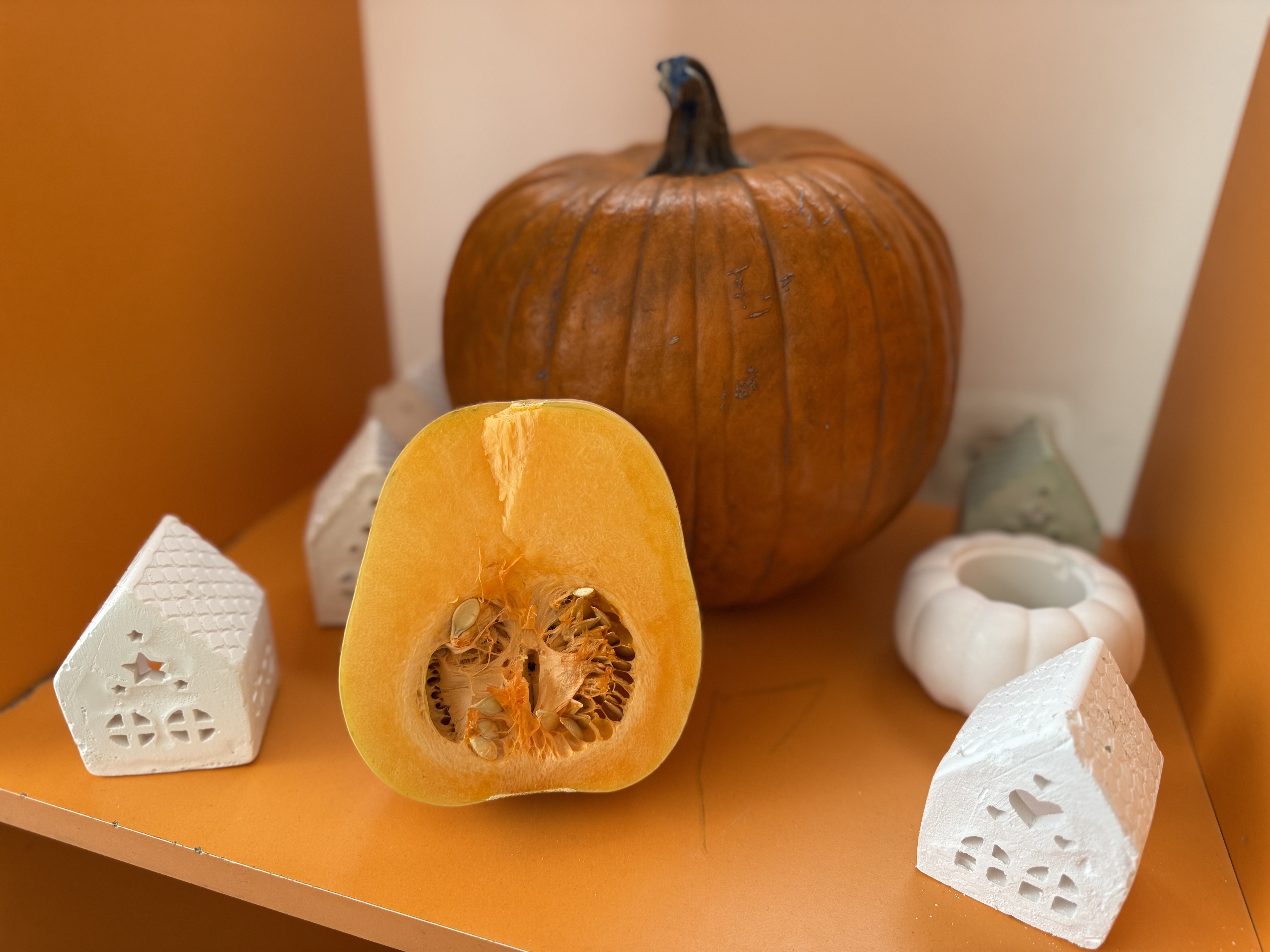 Դդմածես-դդմագովք