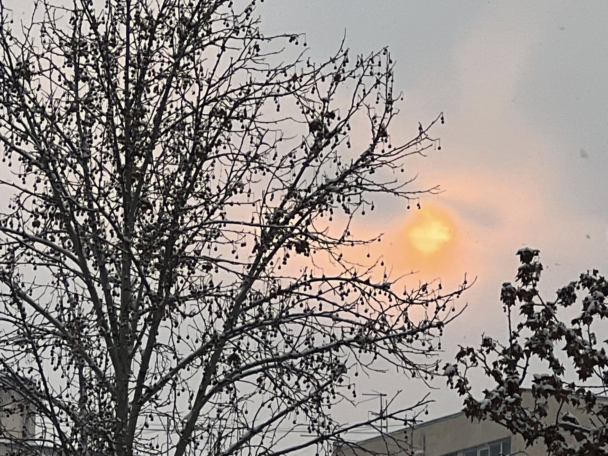 Մաթեմատիկայի հունվարյան ֆլեշմոբ