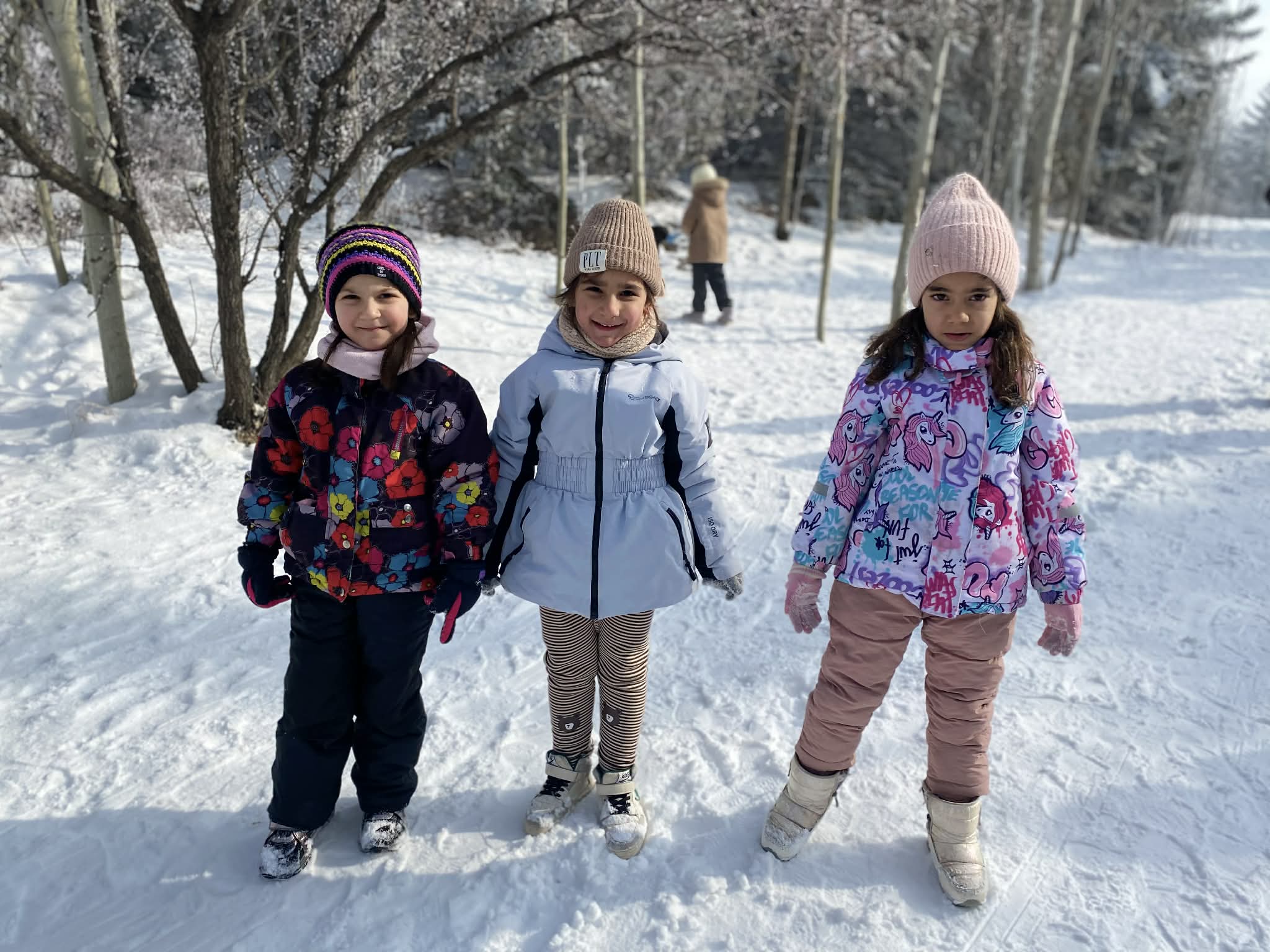 Ձմռան հեքիաթը «Ջրվեժ» անտառապարկում