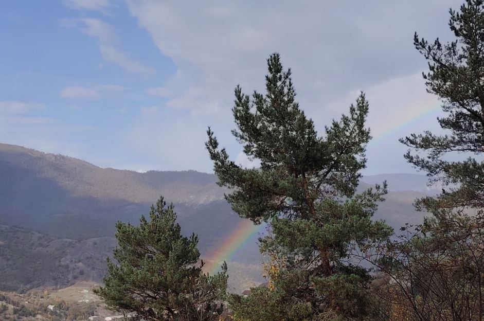 Մայրենիի ֆլեշմոբ։ Փետրվար