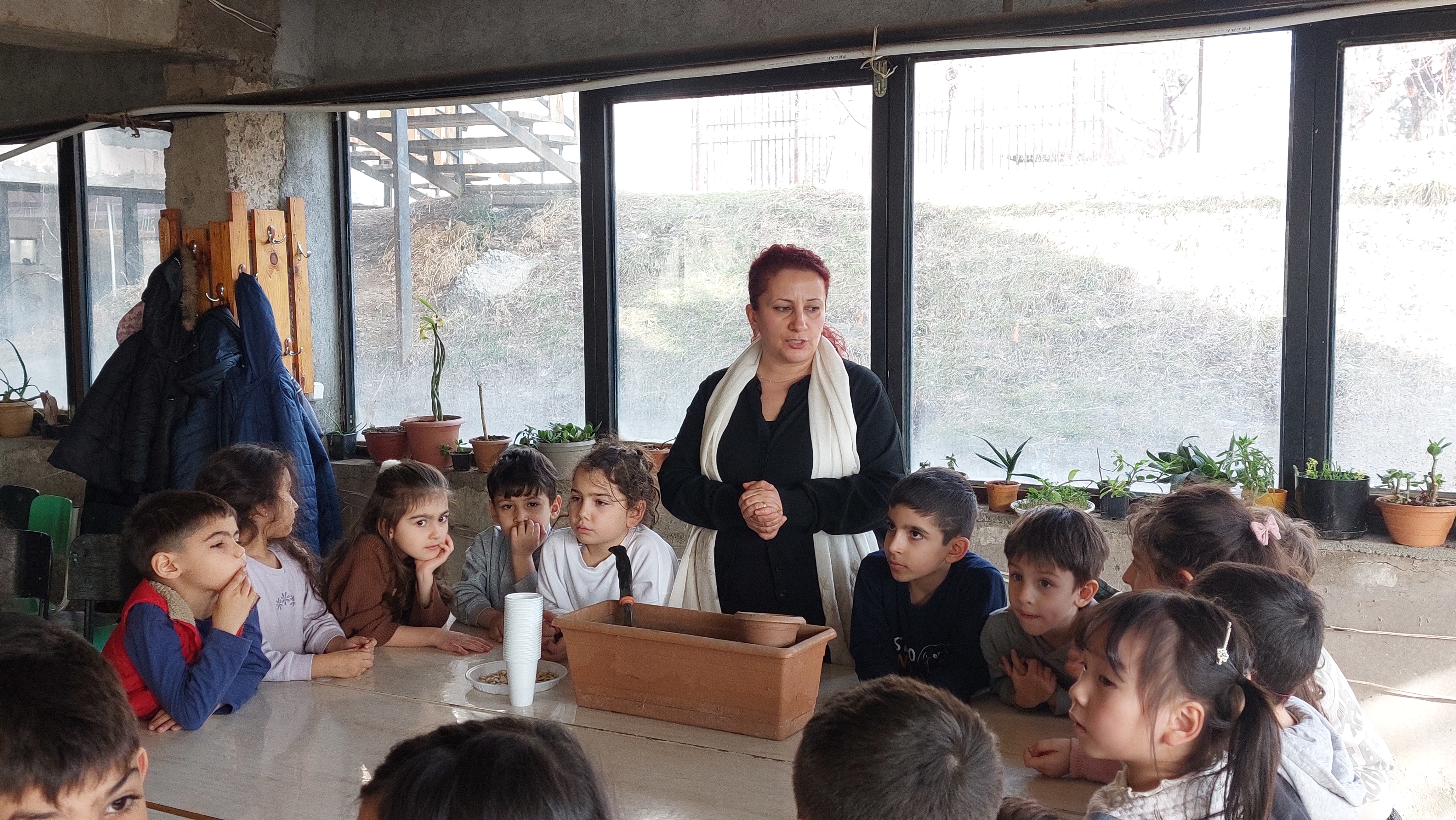 İşbirliğine dayalı proje: tohum ekimi